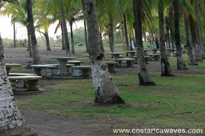The are several picnic tables in the shade of the palm trees at Playa Palo Seco.